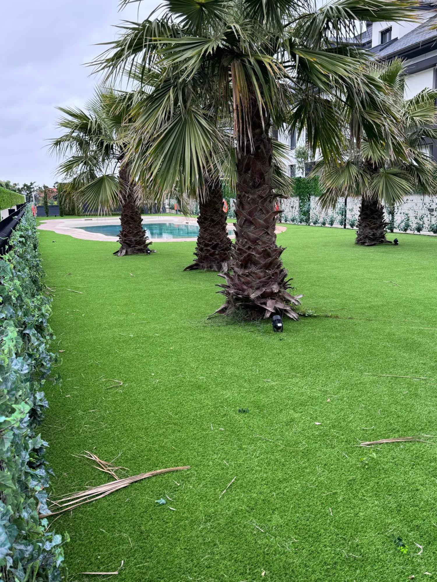 Apartamento Con Jardin Long Beach לורדו מראה חיצוני תמונה